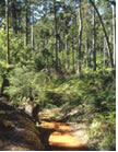 Le Terroir de Fonty's Pool