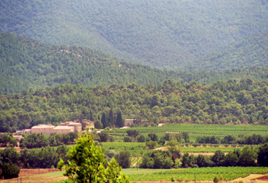 Vignoble